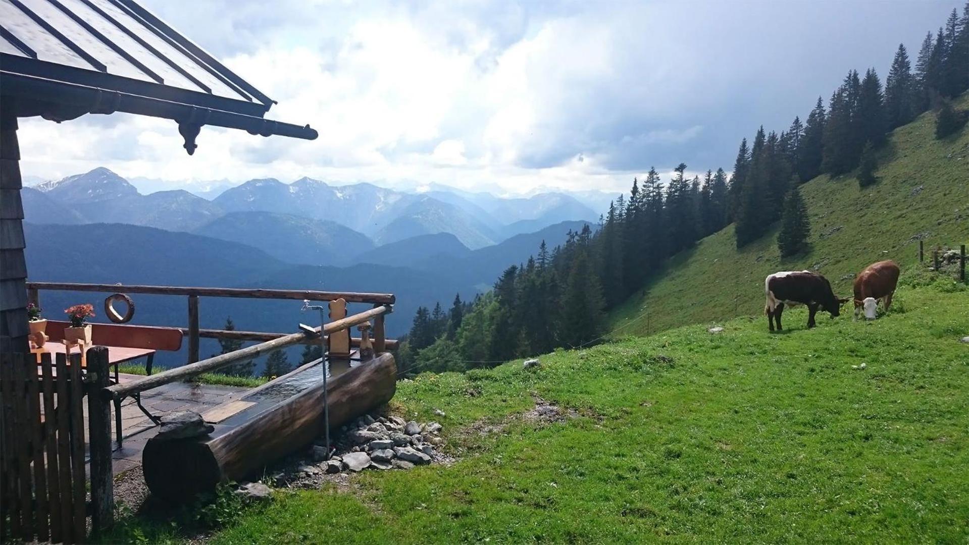 Haus Lesch - Stilvolle Appartements Mit Tollem Bergblick In Kreuth Am Tegernsee Экстерьер фото
